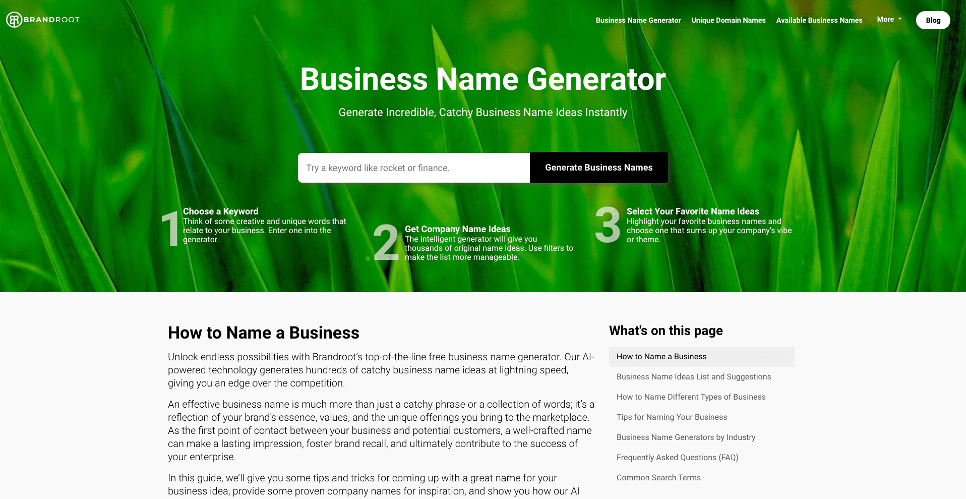 brandroot business name generator