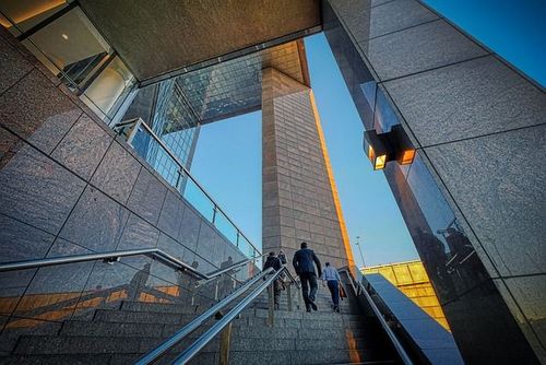 800 Trading Card Company Names & Ideas for 2025