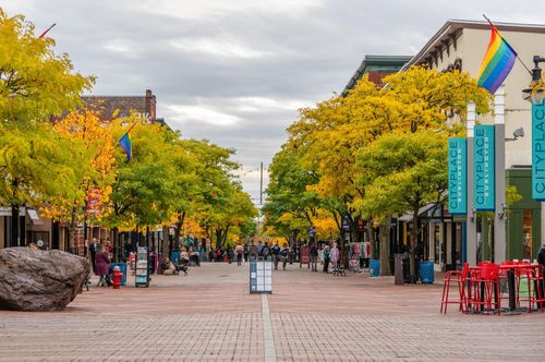 How to Do a Business Entity Search in Vermont